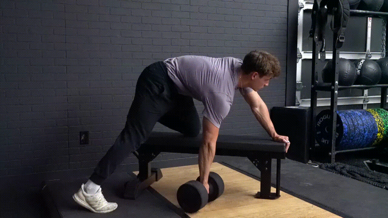 Animated demonstration of the Dumbbell Single Arm Row