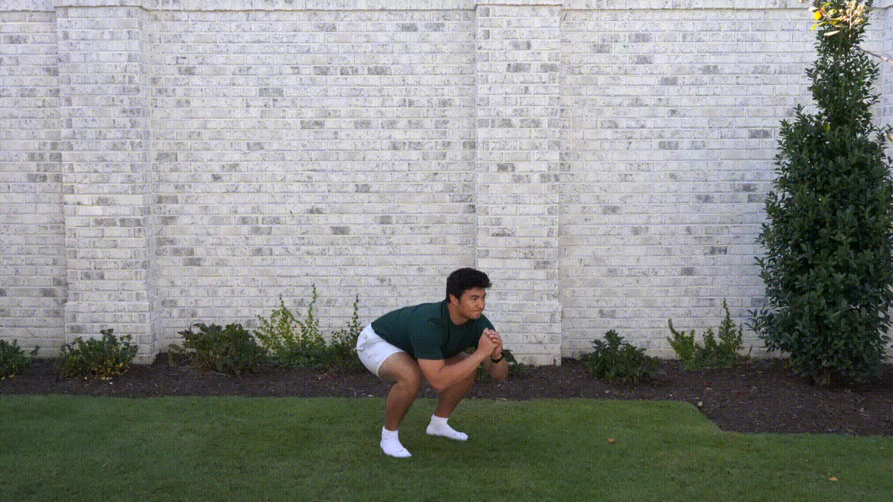 Animated demonstration of the Squat Jumps