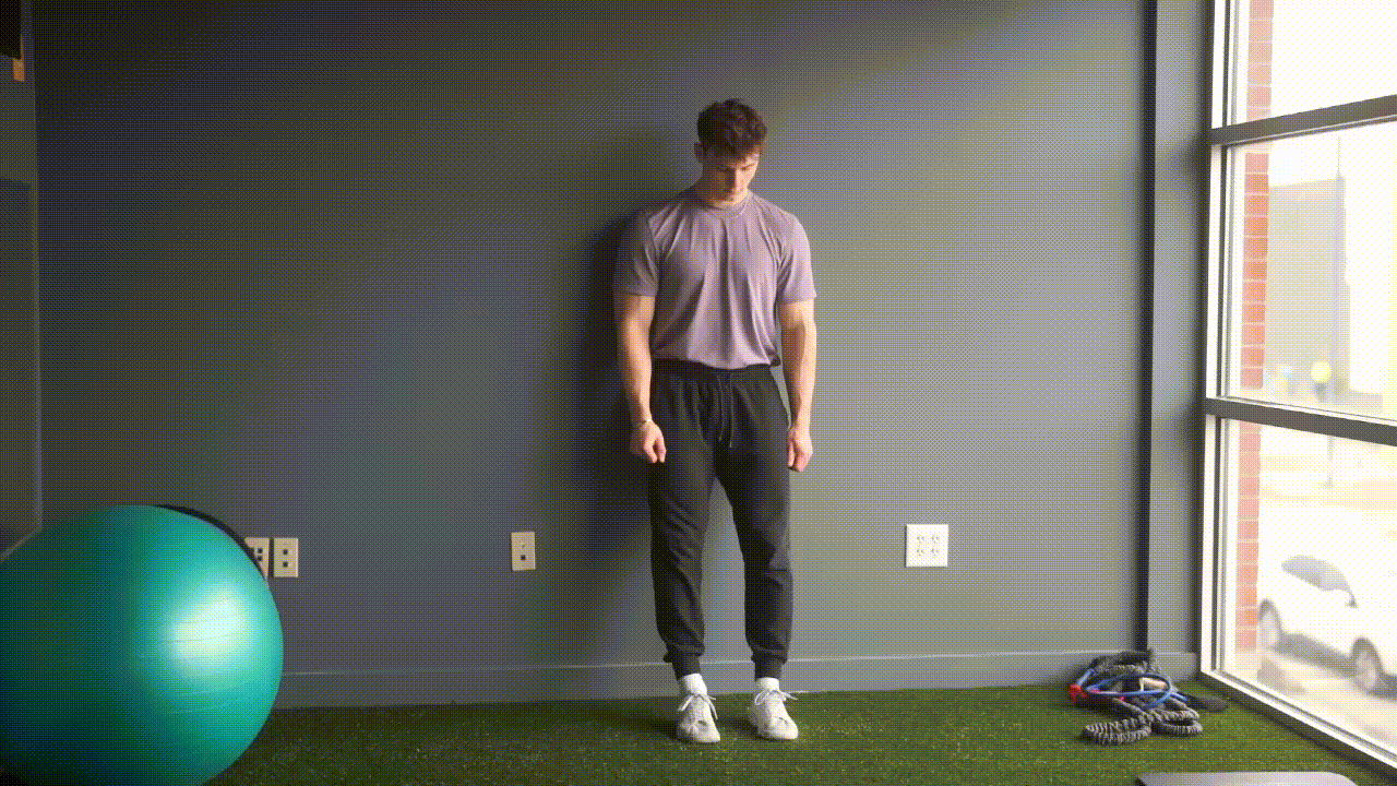 Animated demonstration of the Tibialis Raise