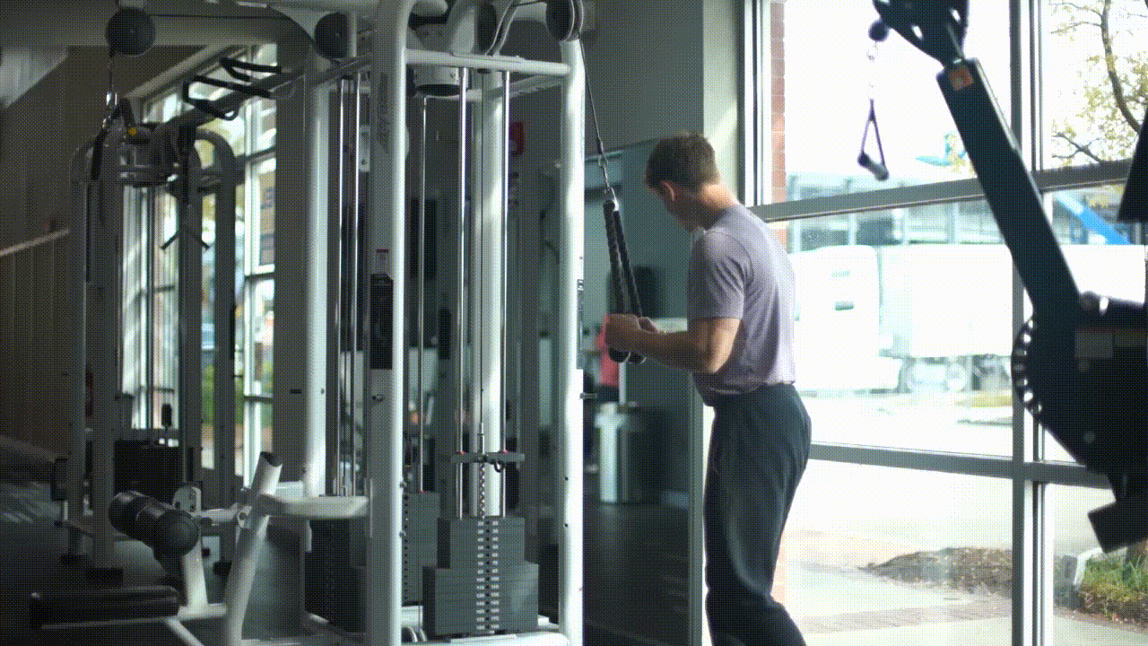 Animated demonstration of the Tricep Pushdown