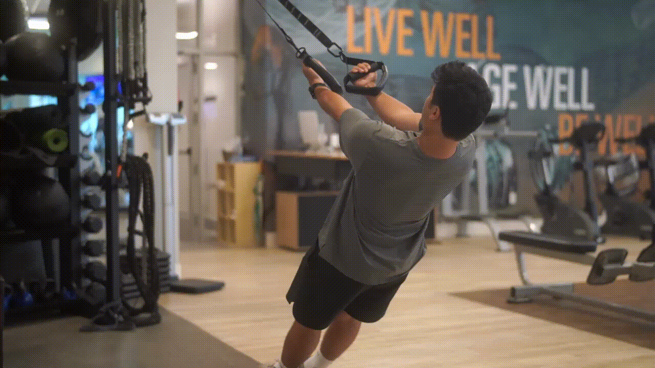 Animated demonstration of the TRX Bicep Curl