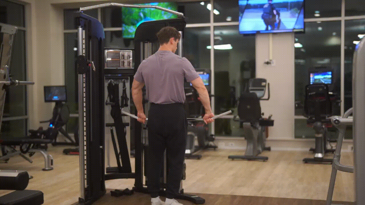 Animated demonstration of the Cable Upright Row