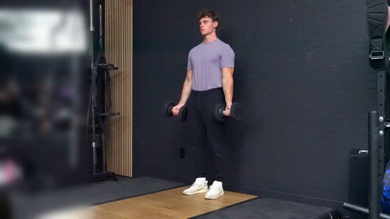 Animated demonstration of the Zottman Curl