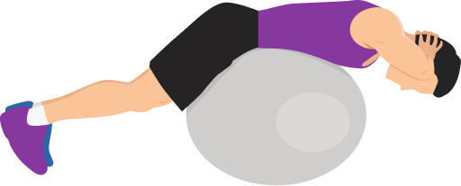 Illustration of the Back Extension Bench Back Extension