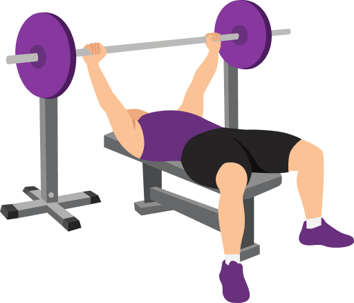 Illustration of the Barbell Bench Press