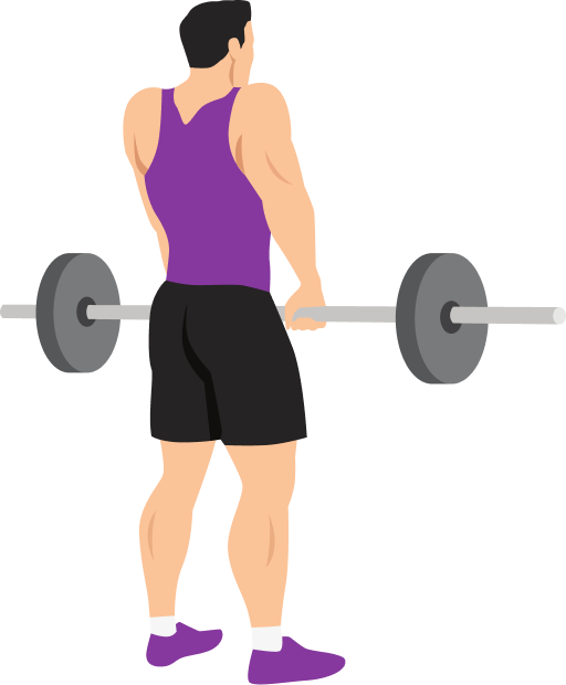 Illustration of the Barbell Shrug