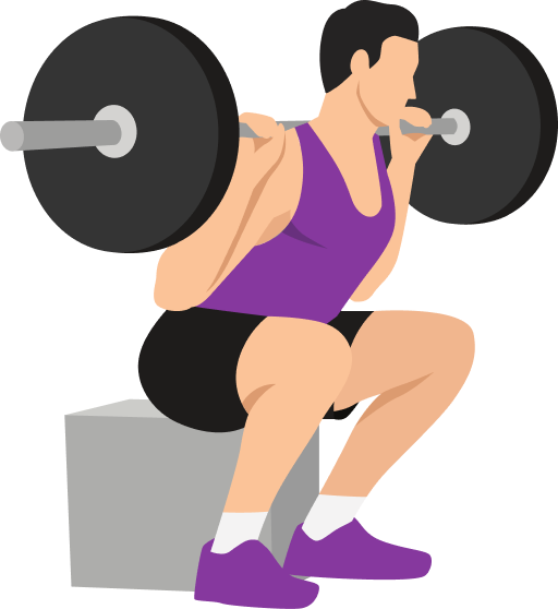Illustration of the Box Squat