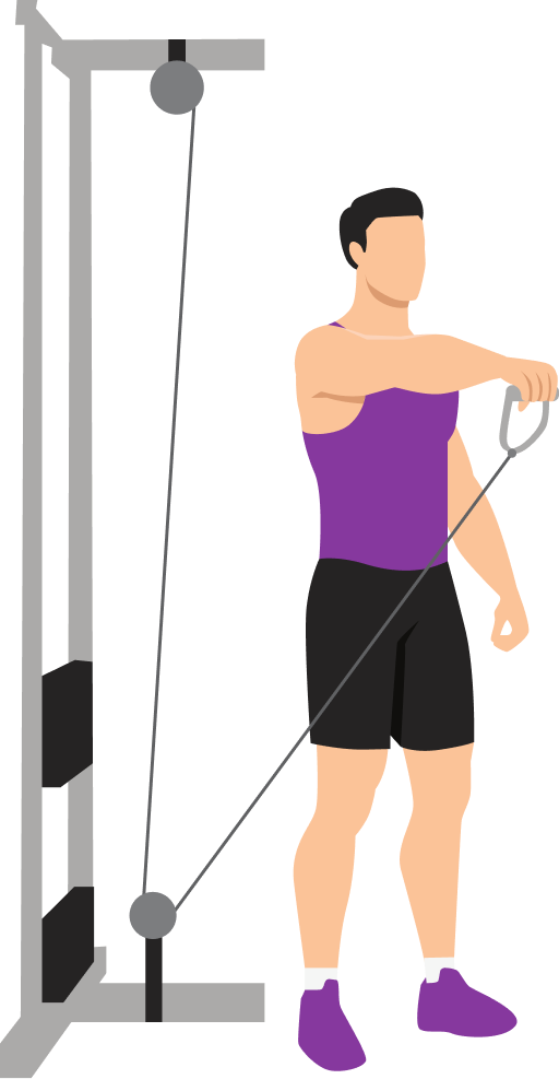 Illustration of the Cable Front Raise