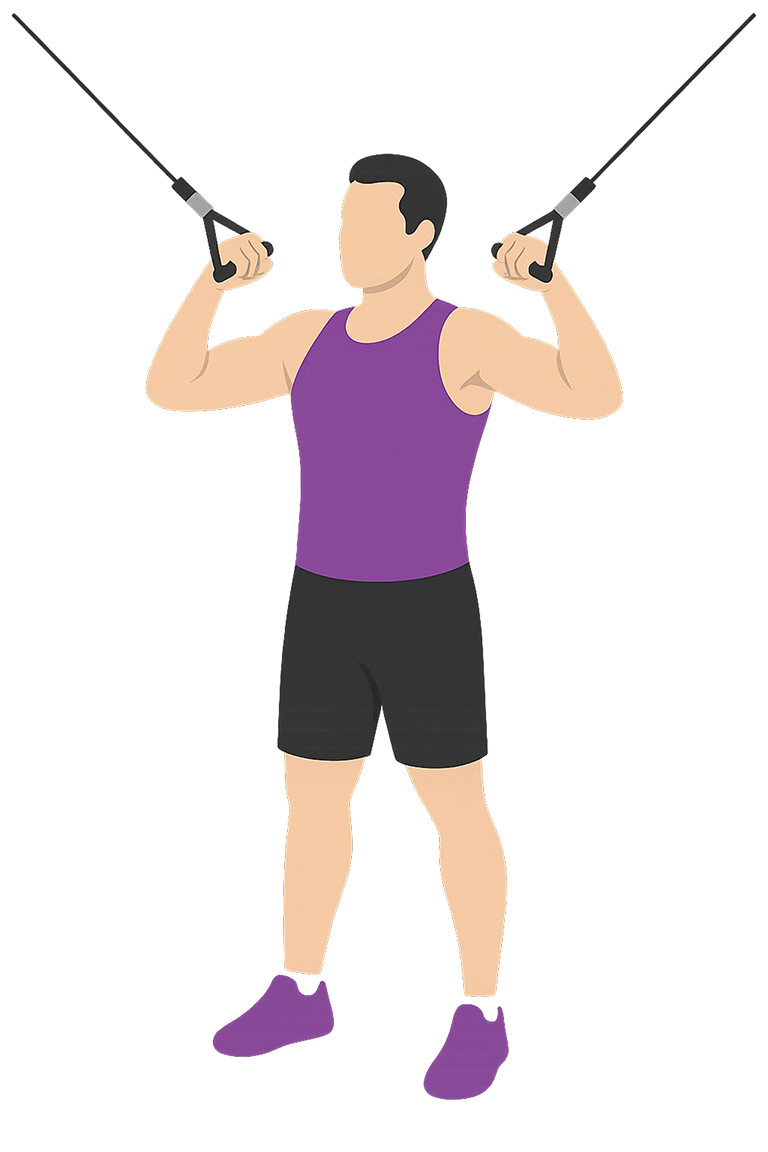 Illustration of the Overhead Bicep Curl