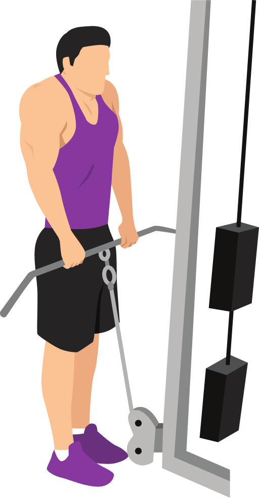 Illustration of the Cable Shrug