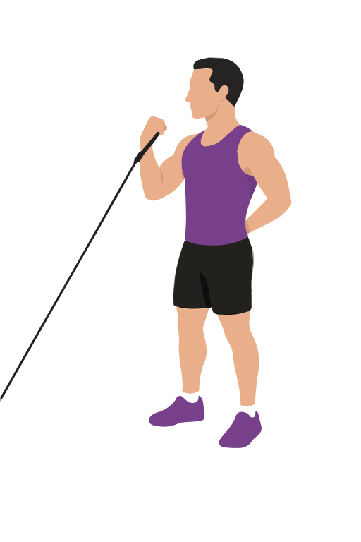 Illustration of the Single Arm Bicep Curl