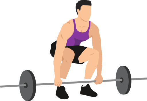 Illustration of the Barbell Deadlift