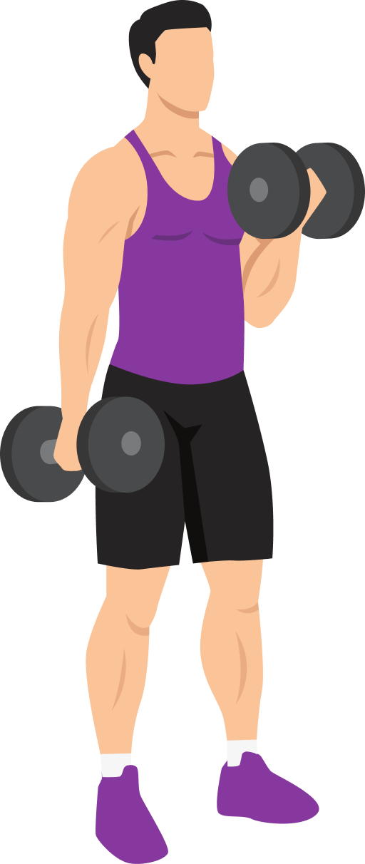 Illustration of the Dumbbell Bicep Curl
