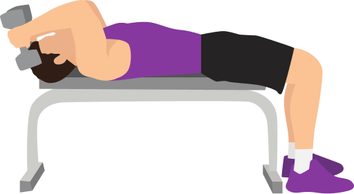 Illustration of the Dumbbell Skull Crushers