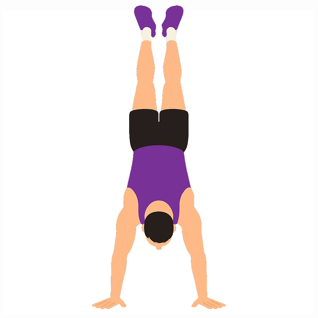 Illustration of the Handstand
