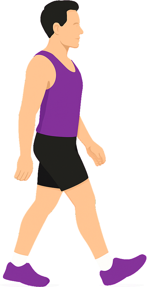 Illustration of the Heel Walks