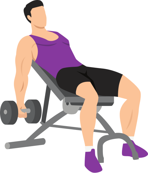 Illustration of the Incline Curl