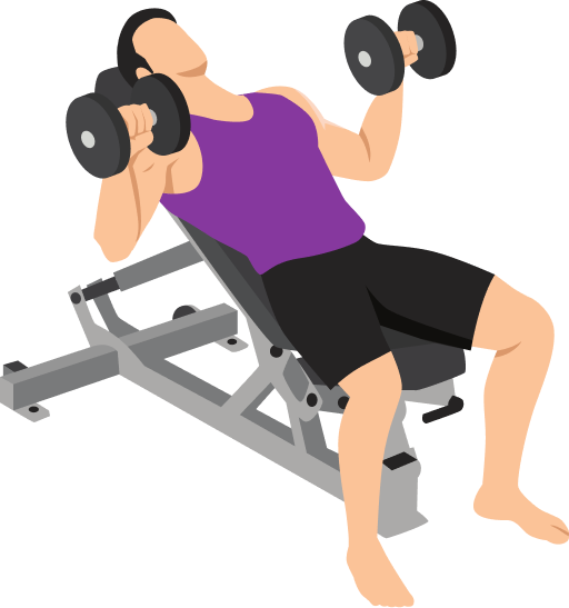 Illustration of the Dumbbell Incline Bench Press