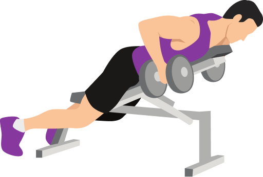 Illustration of the Dumbbell Chest Supported Row