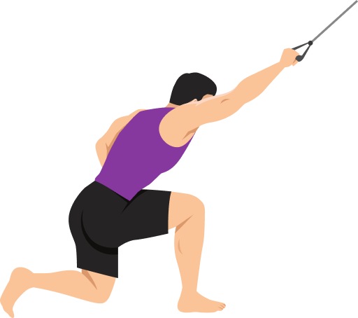 Illustration of the Cable Kneeling Pulldown