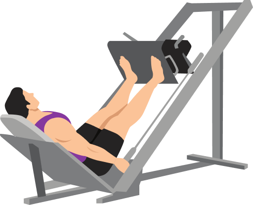 Illustration of the Machine Leg Press
