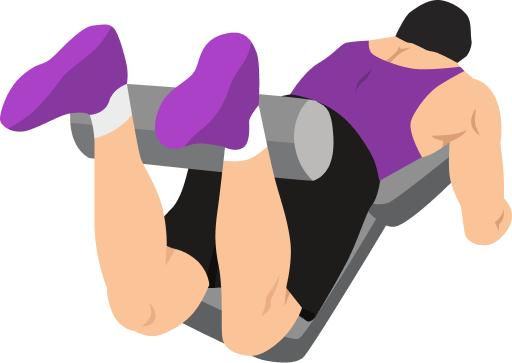 Illustration of the Lying Leg Curl