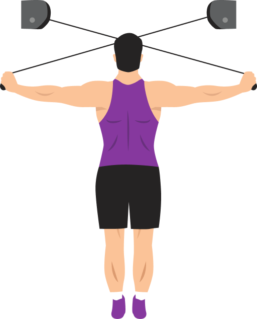 Illustration of the Cable Reverse Flyes