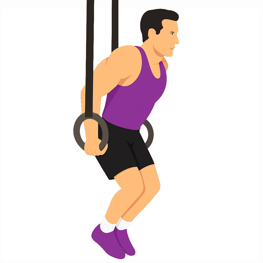 Illustration of the Ring Muscle-up