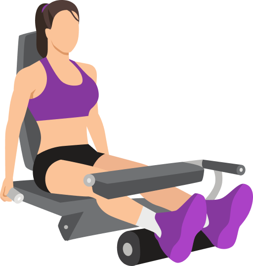 Illustration of the Seated Leg Curl