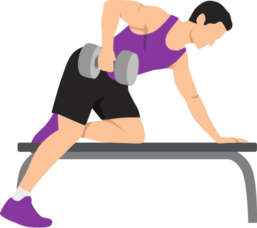 Illustration of the Dumbbell Single Arm Row
