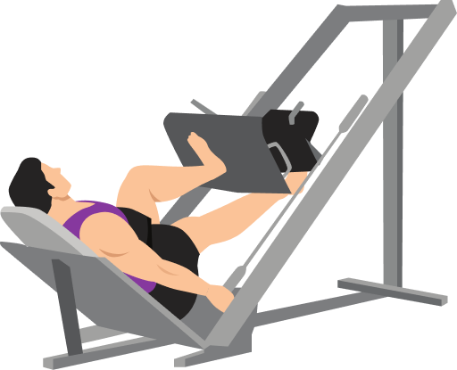 Illustration of the Single Leg Press