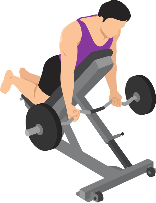Illustration of the Spider Curl