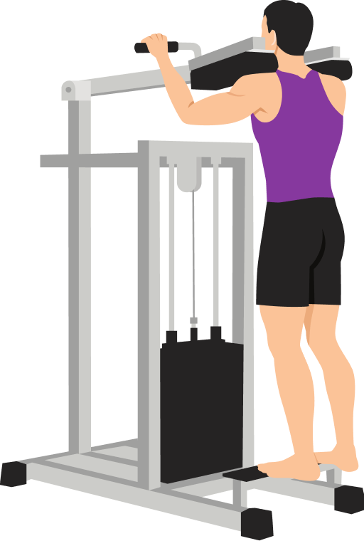 Illustration of the Standing Calf Raise