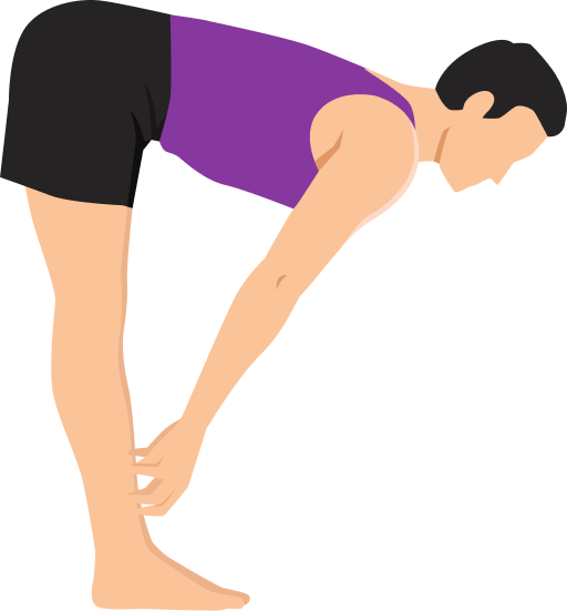 Illustration of the Standing Forward Bend