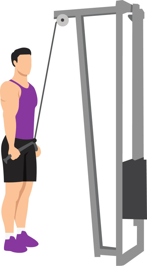 Illustration of the Tricep Pushdown