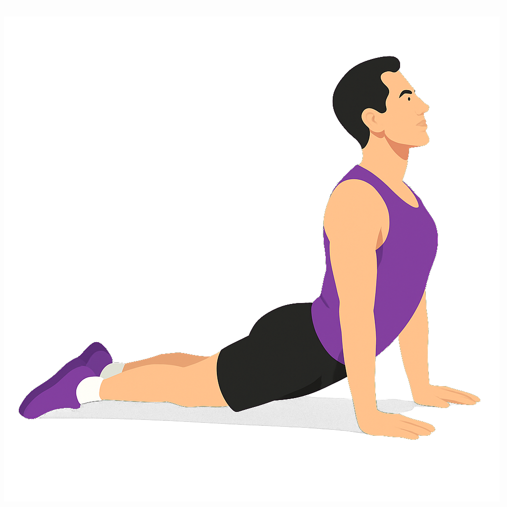Illustration of the Upward Facing Dog