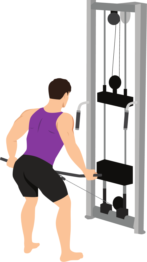 Illustration of the Wide-grip Row
